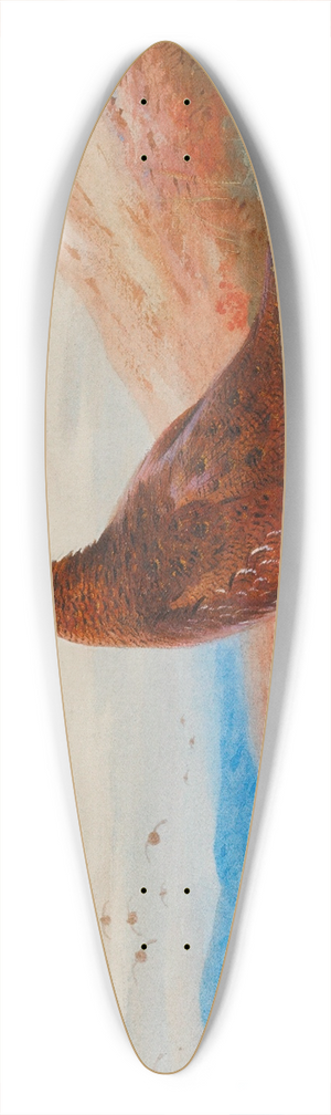 Archibald Thorburn - The Challenge 39.3 inch art pintail longboard deck