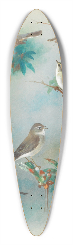 Archibald Thorburn - Warbler And Wrens 39.3 inch art pintail longboard deck