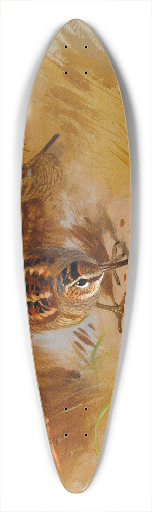 Archibald Thorburn - Woodcock In A Sandy Hollow 39.3 inch art pintail longboard deck