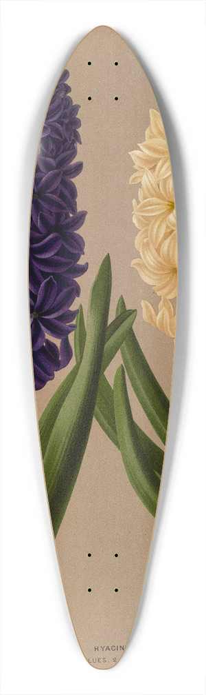 Arentina Hendrica Arendsen - Hyacinths 6 39.3 inch art pintail longboard deck