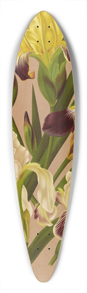 Arentina Hendrica Arendsen - Iris Germanica  Varr 39.3 inch art pintail longboard deck