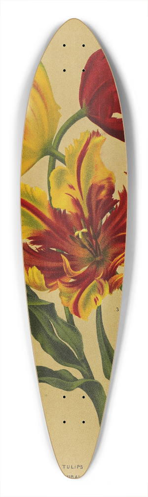 Arentina Hendrica Arendsen - Parrot Tulips 39.3 inch art pintail longboard deck