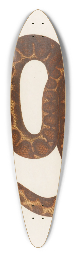 Arthus Bertrand - Echidna Mauritanica 39.3 inch art pintail longboard deck