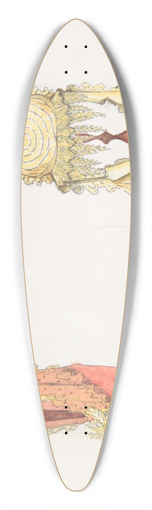 Auguste Flix - Two Views (Side and Front) of a Hat on a Stand 39.3 inch art pintail longboard deck