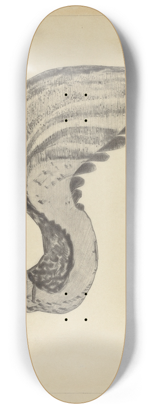 Bernard Westmacott - Weather Vane 8.25 inch art skate deck