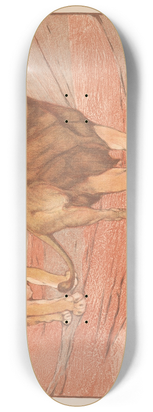 Bernard Willem Wierink - Leeuw en leeuwin 8.25 inch art skate deck Bernard Willem Wierink - Leeuw en leeuwin 8.25 inch art skate deck
