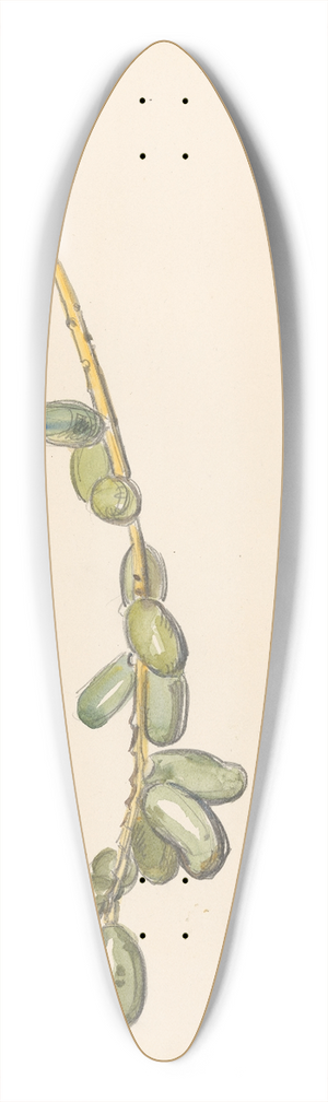 Barbara Elisabeth van Houten - Takje van een dadelpalm met groene vruchten 39.3 inch art pintail longboard deck