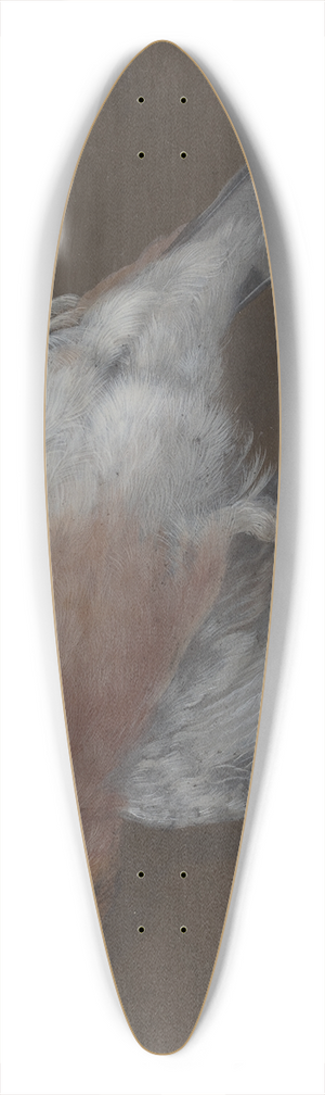 Barbara Regina Dietzsch - A Rose-Breasted Finch Hanging from a Nail 39.3 inch art pintail longboard deck