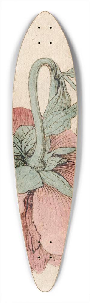 Barend Hendrik Thier - Pioenroos 39.3 inch art pintail longboard deck