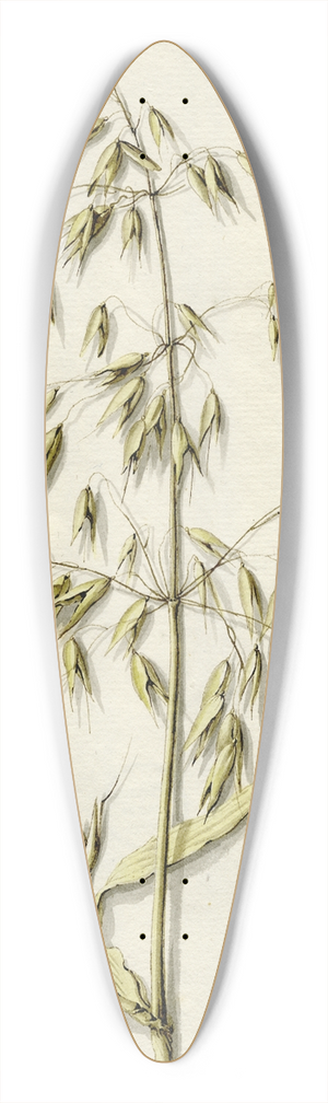 Barend Hendrik Thier - Rijpe haver 39.3 inch art pintail longboard deck