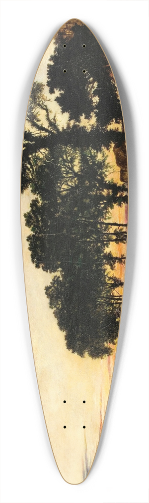 Benjamin Williams Leader - Evening After the Rain 39.3 inch art pintail longboard deck