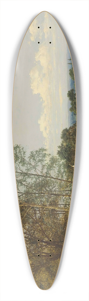 Benjamin Williams Leader - Haymakers 39.3 inch art pintail longboard deck