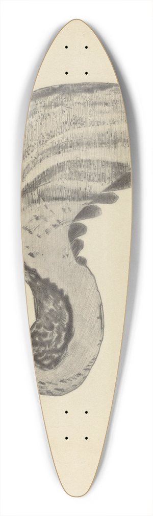 Bernard Westmacott - Weather Vane 39.3 inch art pintail longboard deck