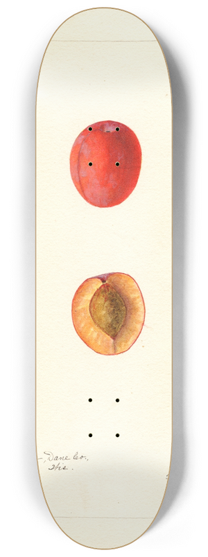 Bertha Heiges - Prunus domestica: Jones 8.25 inch art skate deck Bertha Heiges - Prunus domestica: Jones 8.25 inch art skate deck