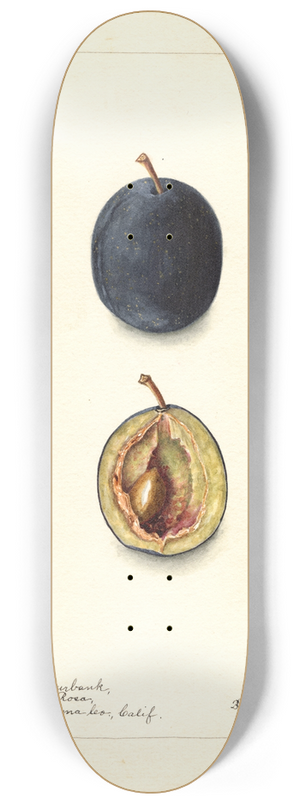 Bertha Heiges - Prunus domestica: Miracle 8.25 inch art skate deck