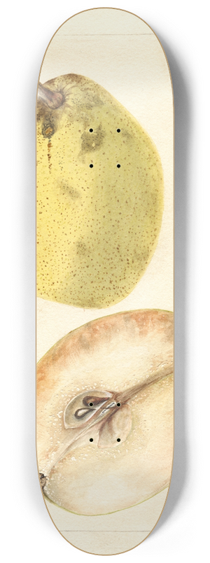 Bertha Heiges - Pyrus communis: Le Conte 8.25 inch art skate deck