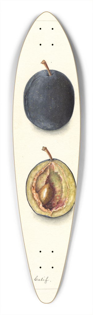 Bertha Heiges - Prunus domestica: Miracle 39.3 inch art pintail longboard deck