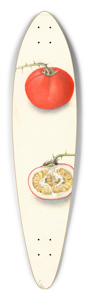 Bertha Heiges - Solanum aviculare 39.3 inch art pintail longboard deck