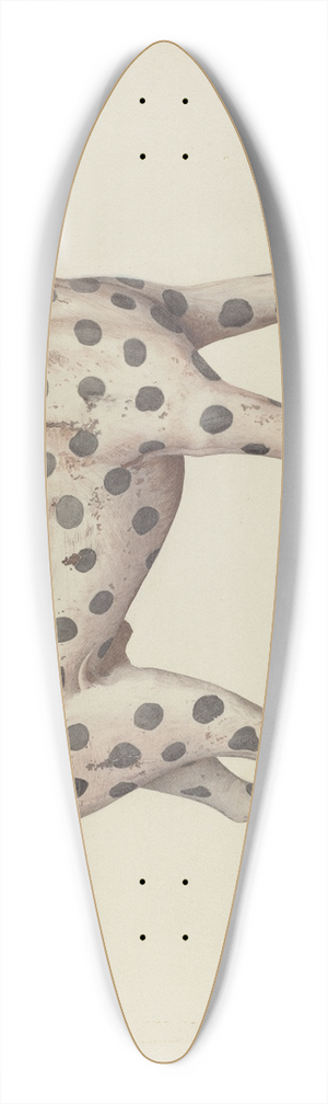 Betty Fuerst - Dalmatian 39.3 inch art pintail longboard deck