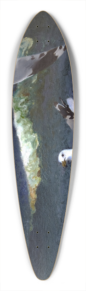 Bruno Liljefors - Gulls 39.3 inch art pintail longboard deck Bruno Liljefors - Gulls 39.3 inch art pintail longboard deck