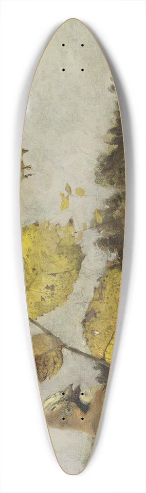 Bruno Liljefors - Jays 39.3 inch art pintail longboard deck