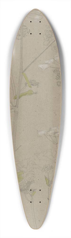 Carel Adolph Lion Cachet - Plantenstudie 39.3 inch art pintail longboard deck