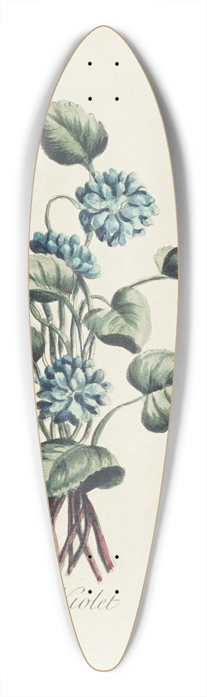 Carington Bowles - Double violet 39.3 inch art pintail longboard deck