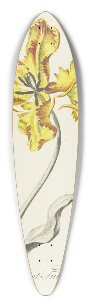 Carington Bowles - Parrot Tulip 39.3 inch art pintail longboard deck