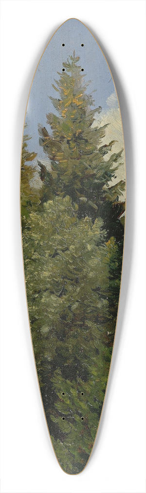 Carl Gustav Carus - Tannen 39.3 inch art pintail longboard deck