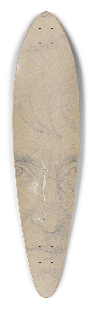 Carl Hoff - Politischer Gefangener aus Hanau zu Kassel 39.3 inch art pintail longboard deck