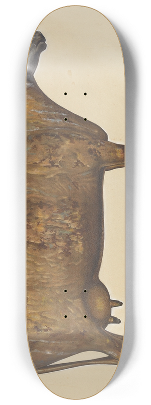 Beverly Chichester - Cow Weather Vane 8.25 inch art skate deck