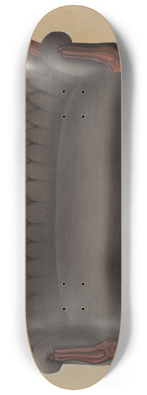 Beverly Chichester - Settee Couch 8.25 inch art skate deck