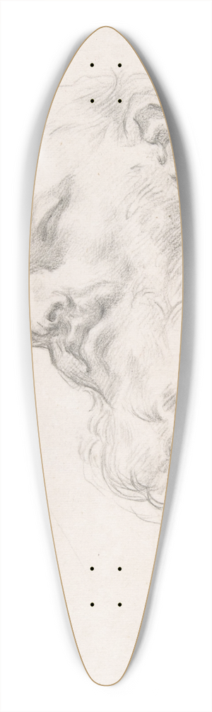 Carlo Maratti - Study for a Head of a Man 39.3 inch art pintail longboard deck