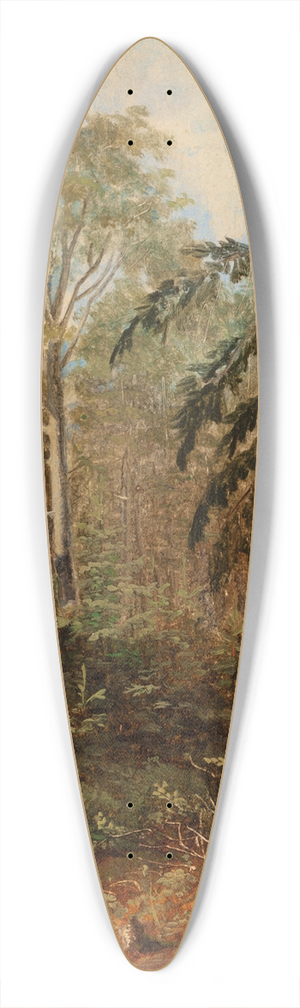Carl Spitzweg - Study of a Woodland Landscape 39.3 inch art pintail longboard deck