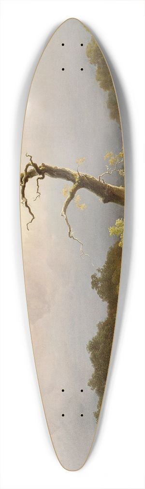 Carl Theodor Reiffenstein - Landschaft bei heranziehendem Gewitter 39.3 inch art pintail longboard deck