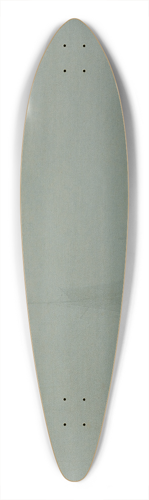 Caspar David Friedrich - Meeresstrand im Nebel 39.3 inch art pintail longboard deck