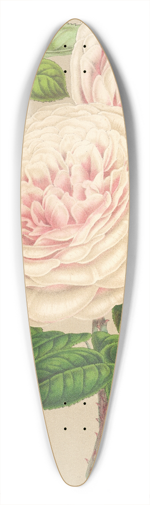 Charles Antoine Lemaire - Rose Sur des Anges 39.3 inch art pintail longboard deck