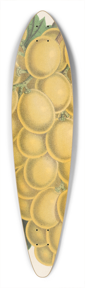 Charles Antoine Lemaire - Thomsons Golden Champion Grape 39.3 inch art pintail longboard deck
