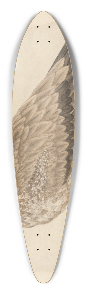 Charles Collins - Egyptian Vulture 39.3 inch art pintail longboard deck