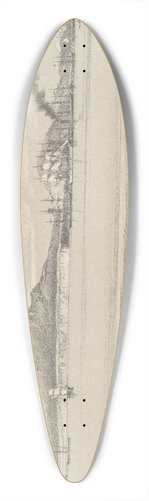 Charles Decimus Barraud - New Zealand Graphic and Descriptive. Plate III. Freemans Bay Auckland Harbour. 39.3 inch art pintail longboard deck
