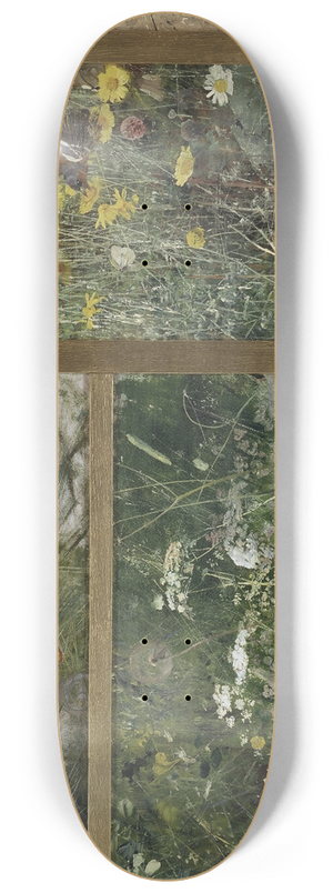Bruno Liljefors - Four Bird Studies, Red-Backed Shrike, Corncrake, Chaffinches, Willow Warbler 8.25 inch art skate deck