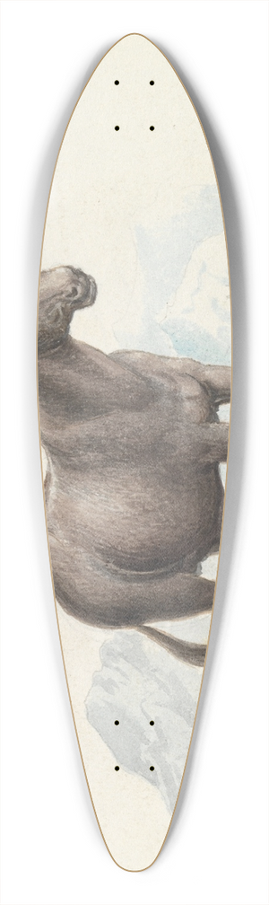 Charles Hamilton Smith - The Hinny 39.3 inch art pintail longboard deck