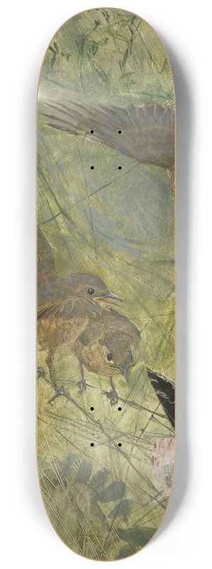 Bruno Liljefors - Redstarts and Butterflies 8.25 inch art skate deck