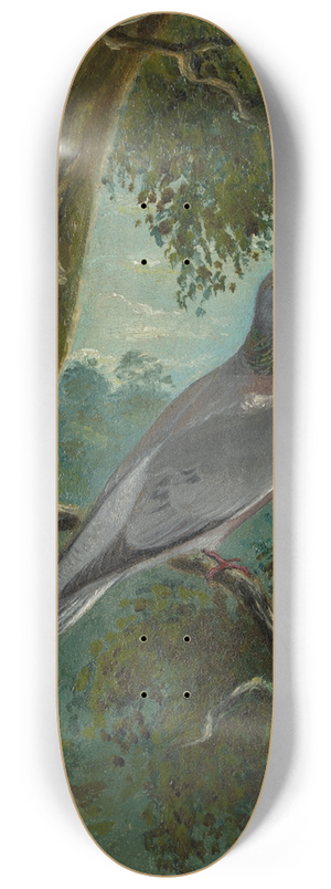 Bruno Liljefors - Stock Dove 8.25 inch art skate deck