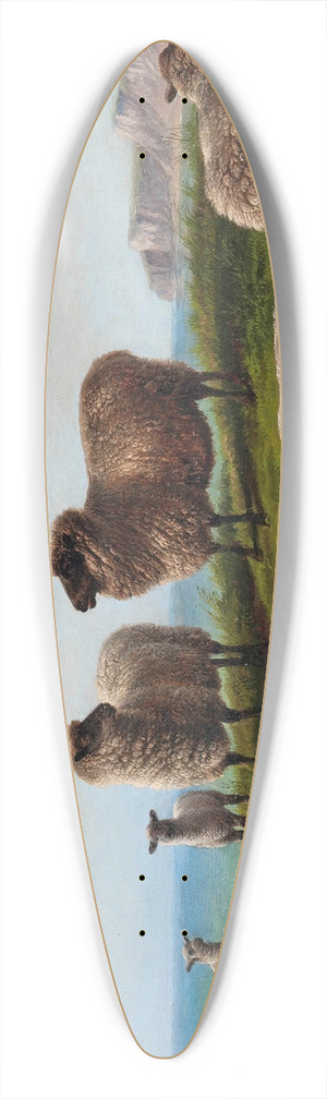Charles Jones - Sheep grazing on a headland 39.3 inch art pintail longboard deck