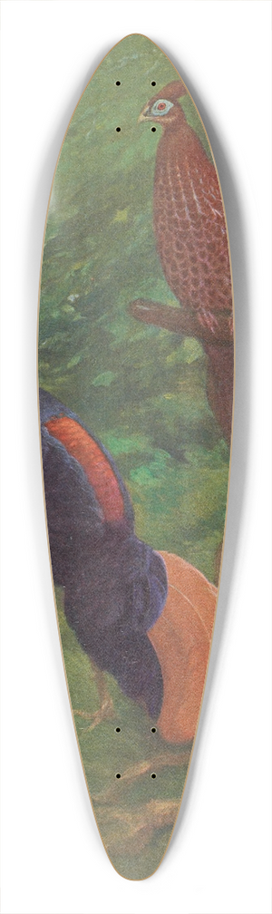 Charles Robert Knight - Bornean Crested Fireback 39.3 inch art pintail longboard deck