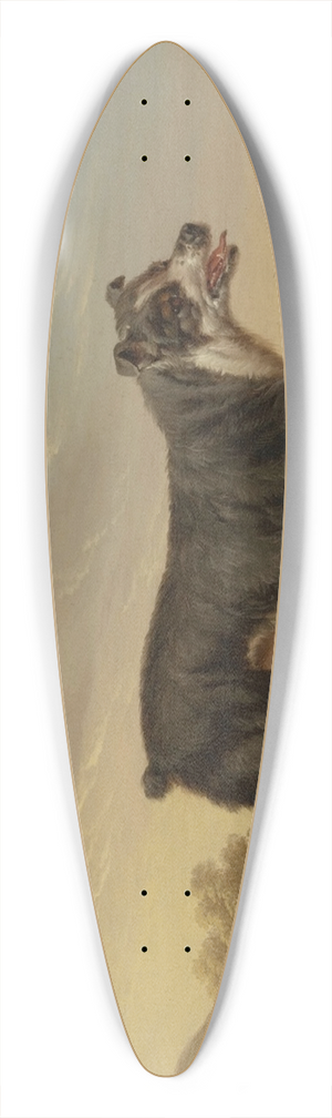 Charles Towne - Tyke 39.3 inch art pintail longboard deck