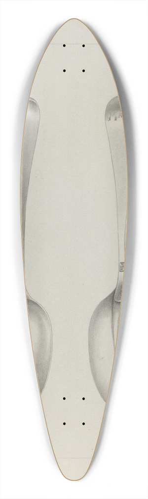 Charlotte Winter - Silver Spoon 39.3 inch art pintail longboard deck