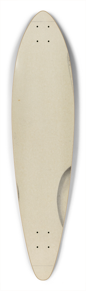 Charlotte Winter - Silver Spoon 39.3 inch art pintail longboard deck