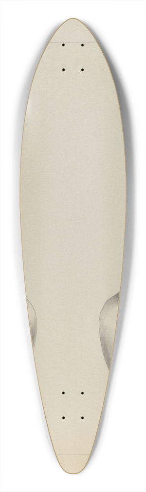 Charlotte Winter - Silver Spoon 39.3 inch art pintail longboard deck